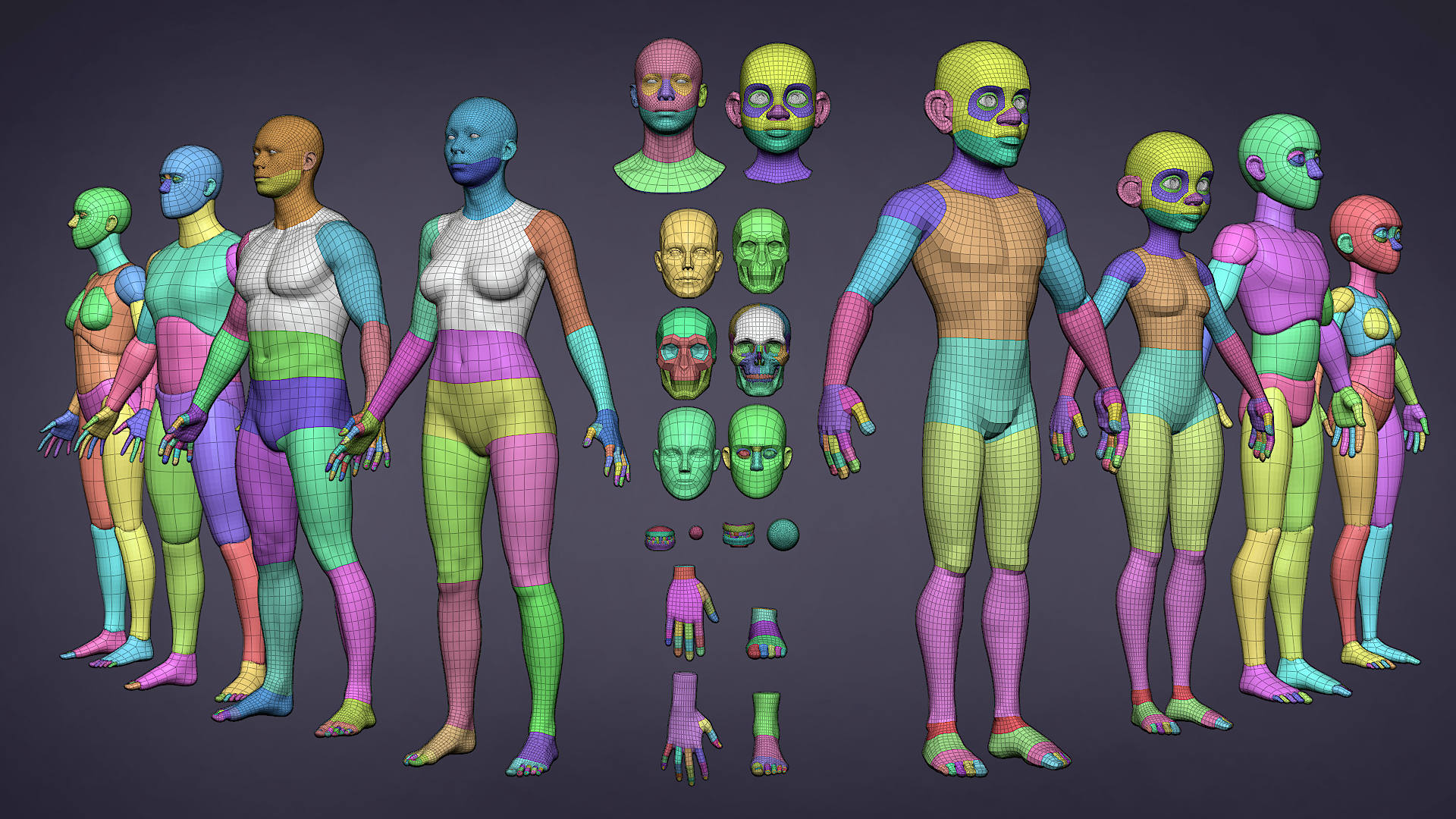 Human Base Meshes v1.4.1