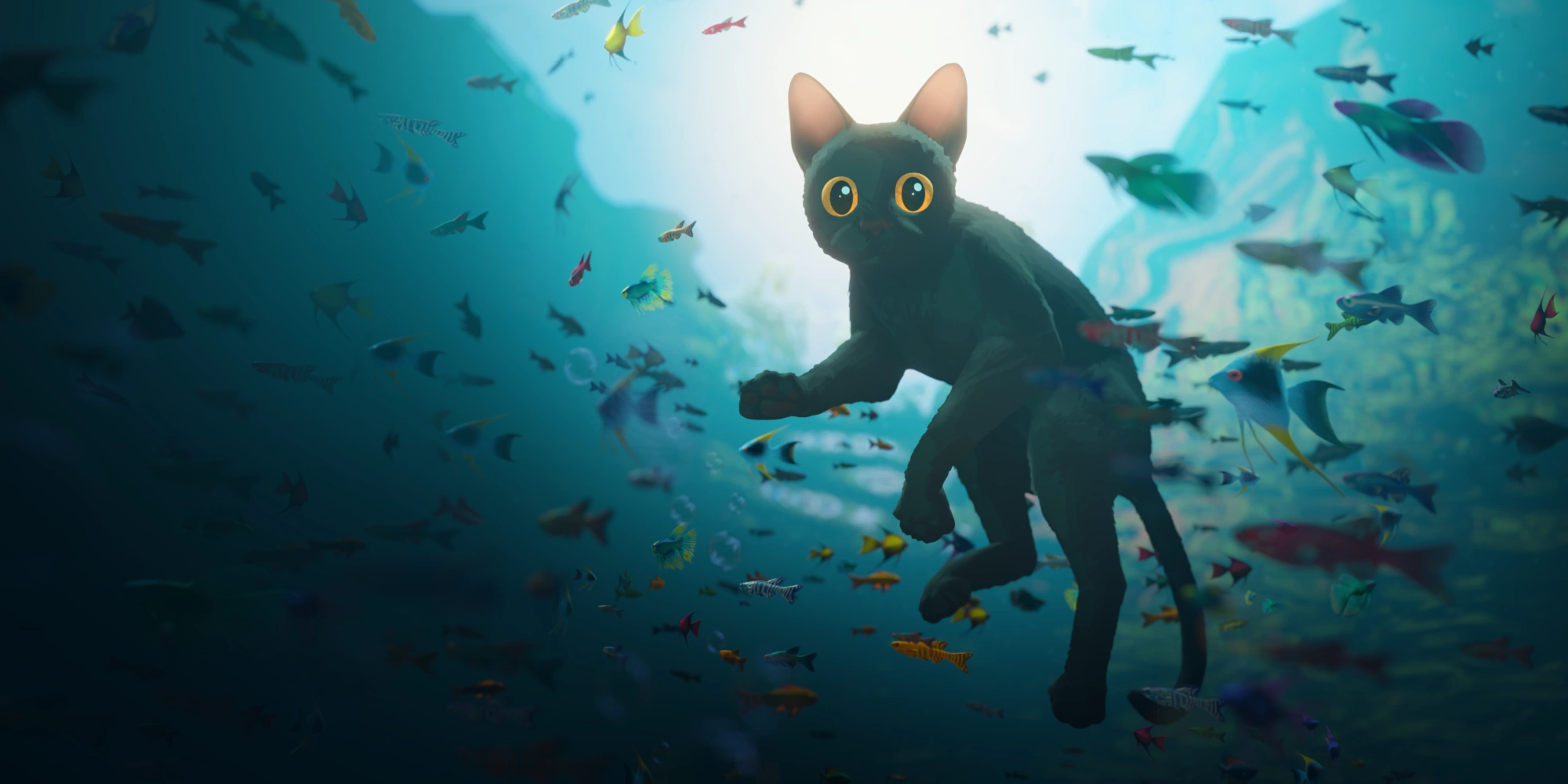 Blender 4.4 Splash Screen, Flow